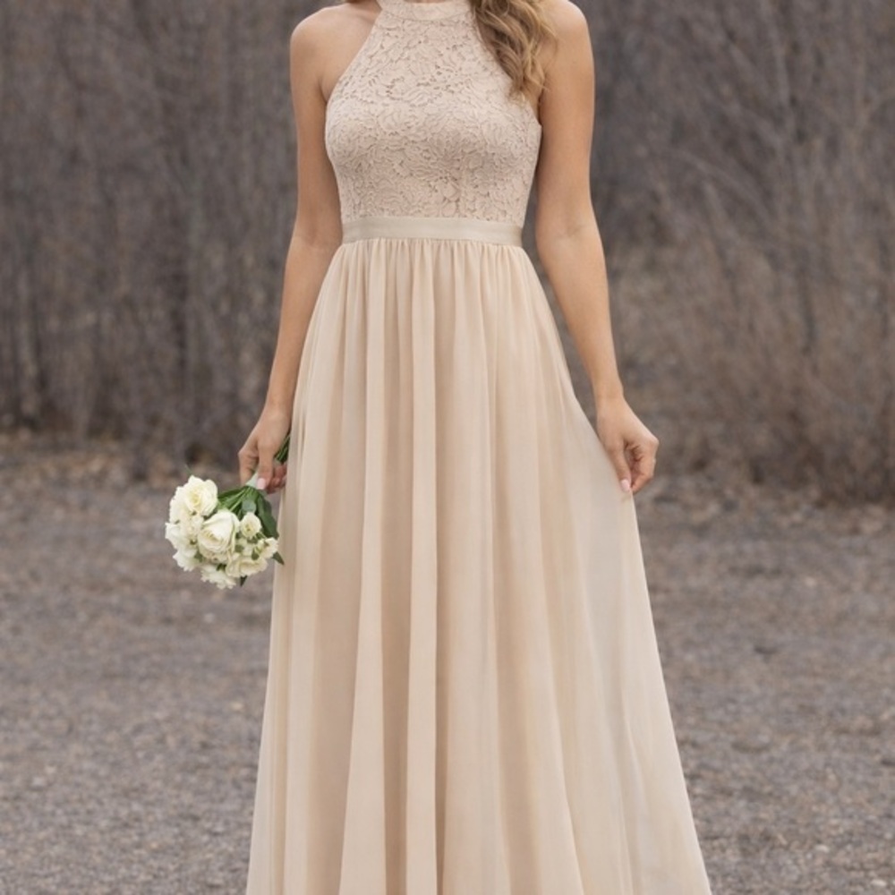 Romantic Dressy Collection full length formal gown soft champagne tulle lace S